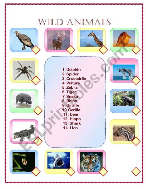 Wild Animals Esl Printable Worksheets For Kids 1 20f