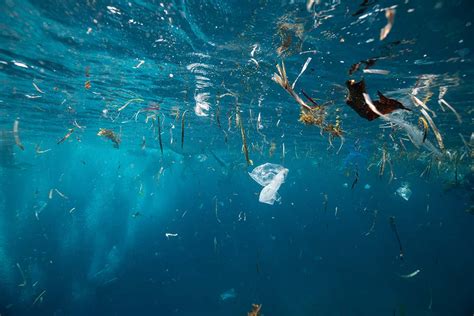 We May Have Missed Half The Microplastics In The Ocean New Scientist