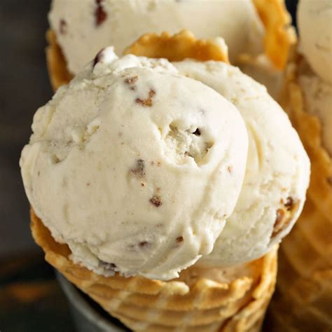 12 Donvier Ice Cream Recipes Tjaewanesa