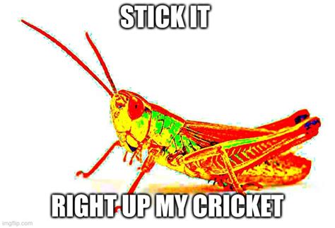 Cricket Imgflip