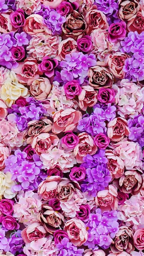 Pin By Shobha Ray On Pop Flower Iphone Wallpaper Pink And Purple