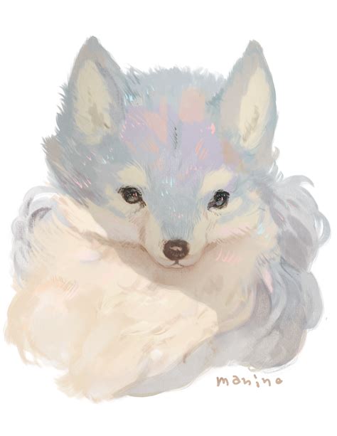 Safebooru Animal Commentary Request Dog Fluffy Highres Looking At