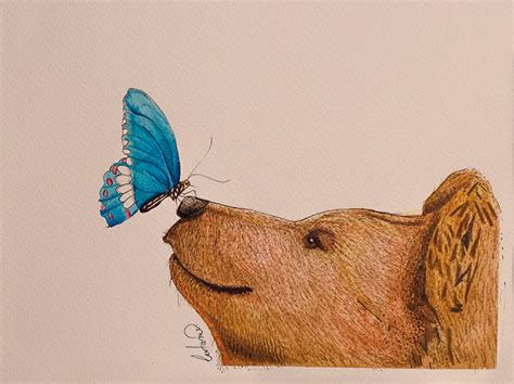 Bear And Butterfly By Lostanaw On Deviantart