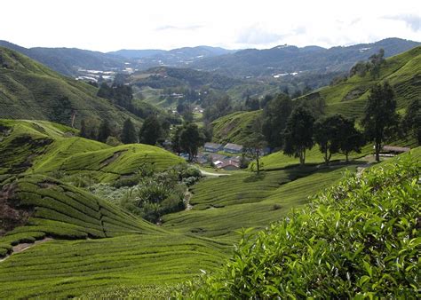 Visit Cameron Highlands On A Trip To Malaysia Audley Travel