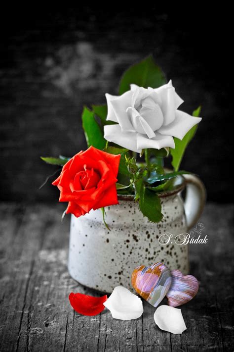 Hours may change under current circumstances Pin by Margie Manuel on Everything from S. Budak | Hearts ...