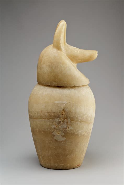 Canopic Jar With A Jackal Headed Lid Late Period Saite The Met