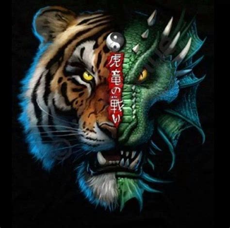 Tigerdragon Imagem De Tigre Arte Sobre Animais Selvagens Dragões