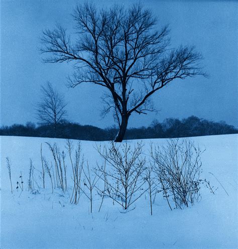 Winter Treeimg671 1 1 By Harrietsfriend On Deviantart