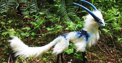 10 Absolutely Strange Animals That Actually Exist Which Is