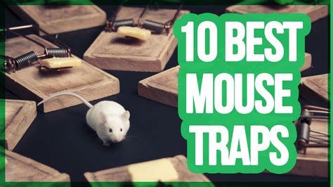 10 Best Mouse Traps 2018 Best Way To Get Rid Of Mice Youtube