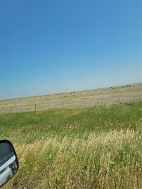 Wanted - Seasonal Ranch Hand - Montana