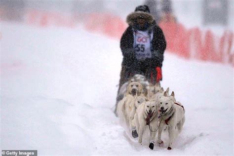 Norwegian Musher Achieves Boyhood Dream Wins Iditarod Race Musher
