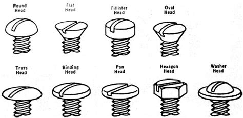 Types Of Screw Heads Diagram My XXX Hot Girl