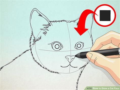 How To Draw A Cat Face 8 Steps With Pictures Wikihow