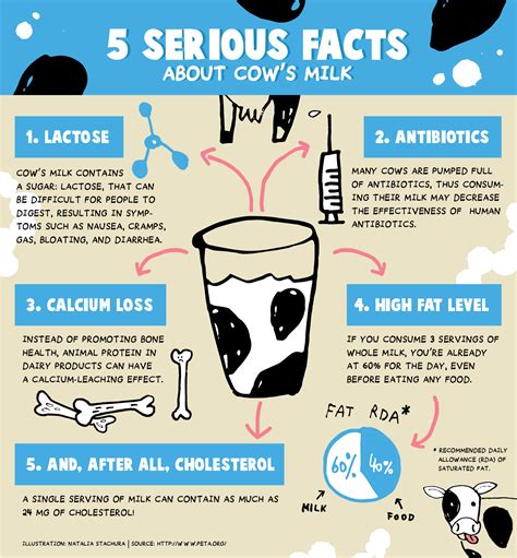 5 Serious Facts About Cow Milk Visually