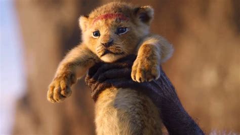 The Birth Of Simba Scene Circle Of Life Song The Lion King 2019