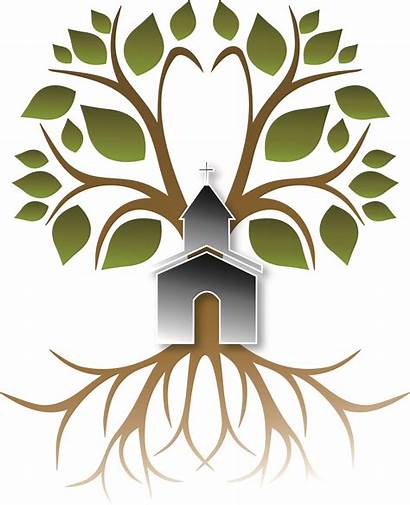Roots Clip Clipart Pastor Tree Church Trees