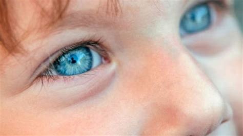 ¿por Qué Algunos Niños Tienes Los Ojos De Color Azules