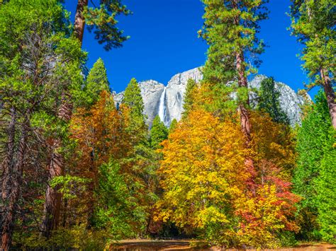 Yosemite Falls Yosemite National Park California Autumn Colors Fall