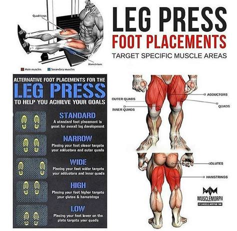 Leg Press Foot Placement Chart