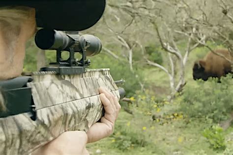 Pros And Cons Airbow For Hunting In The Us ⋆ Outdoor Enthusiast