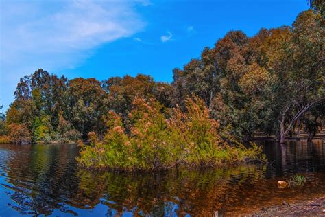 Lake Forest Park Free Photo On Pixabay