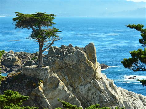 33 Cool and Unique Things to Do in Big Sur You'll Love