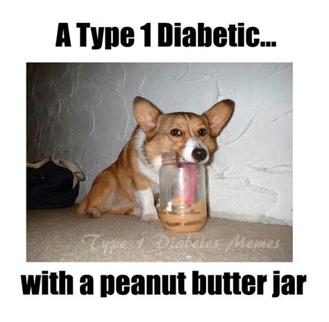 I Love Peanut Butter Funny Dog Pictures Cute Animals Funny Animal
