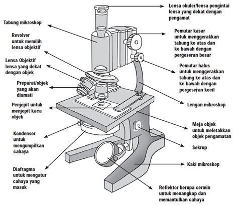 Gambar Mikroskop Dan Bagian Serat