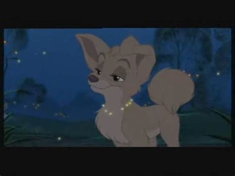 How Old Do You Think Scamp And Angel From Lady And The Tramp 2 Scamps