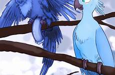 rio bird jewel blue penis parrot xxx blu respond edit rule feathers hyper animal