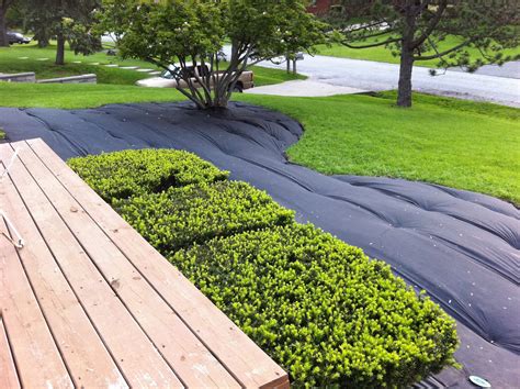 They are perfect for complimenting a mediterranean style garden bursting with green plants. Limestone Garden Edge Ideas Photograph | Displaying 18> Imag