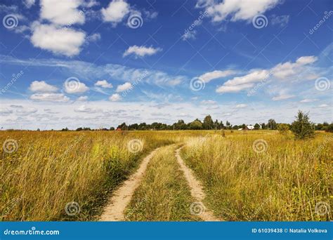 Country Road Through The Fields Summer Day Stock Photo Image Of