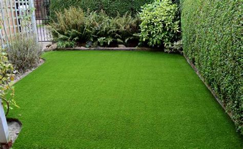 rumput taman rumah minimalis