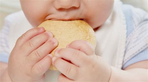 Rekomendasi Merek Biskuit Bayi 6 Bulan Yang Dikenal Bagus