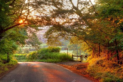 Wooded English Country Lane At Sunset Stock Photo By ©andrewroland 35069933