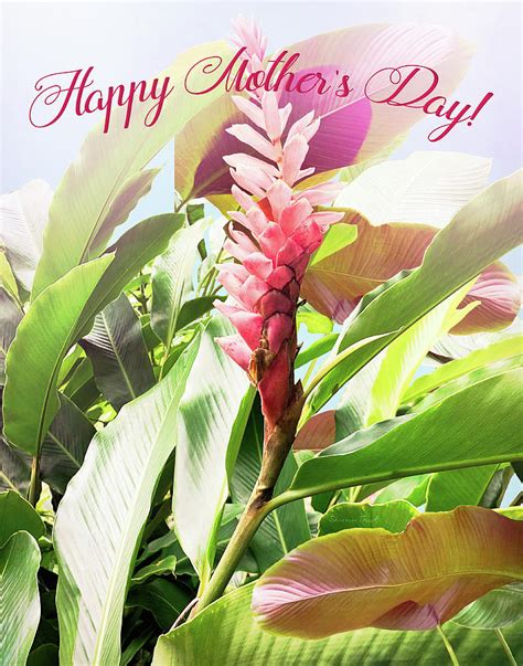 Mothers Day Tropical Flowers Photograph By Sherrie Triest