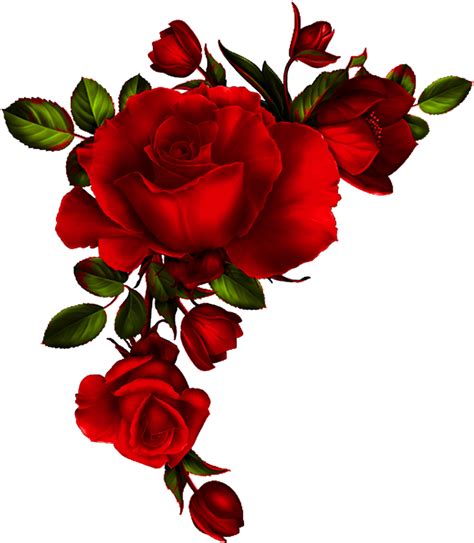 Download Watercolor Red Roses Png Transparent Png Vhv