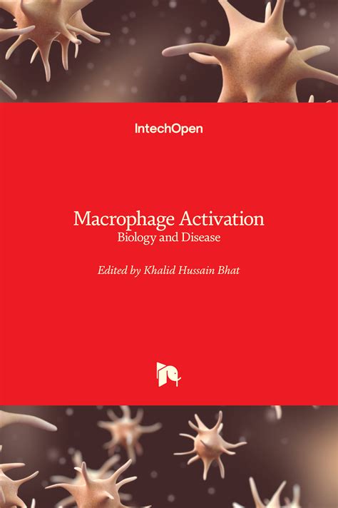 Macrophage Activation Biology And Disease Intechopen