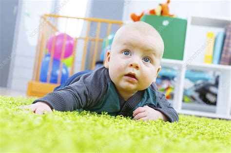 Baby Boy Crawling Stock Image F0213755 Science Photo Library