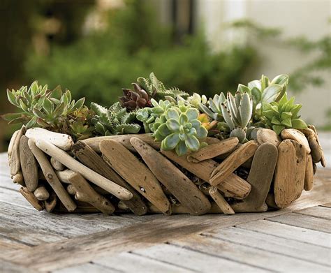 Making Things Out Of Driftwood Driftwood Crafts Succulents In