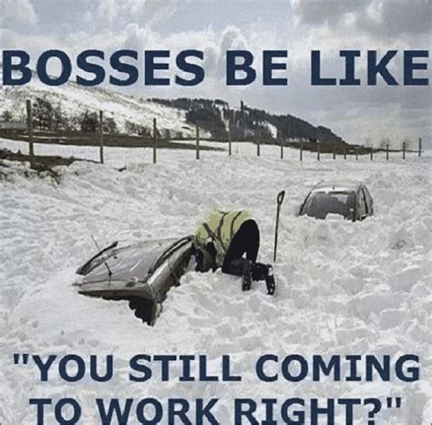 40 Hilarious Snow Memes For When Youre Freezing Your Butt Off Designbump