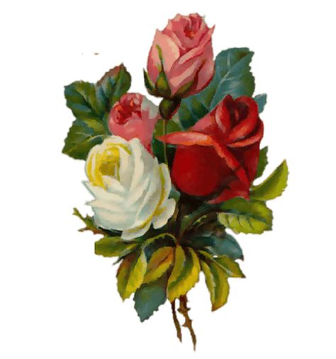 30 Rosas Vintage Para Scrap Rose Png