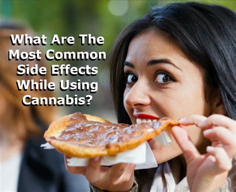 Probiotics are good bacteria that help keep you healthy. 5 Common Side Effects While Using Cannabis