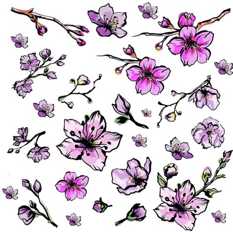 Premium Vector Free Hand Sakura Flower Vector Set Beautiful Line Art