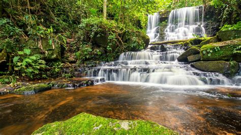 Waterfall Stream Between Green Trees Plants Algae Covered Rocks 4k 5k