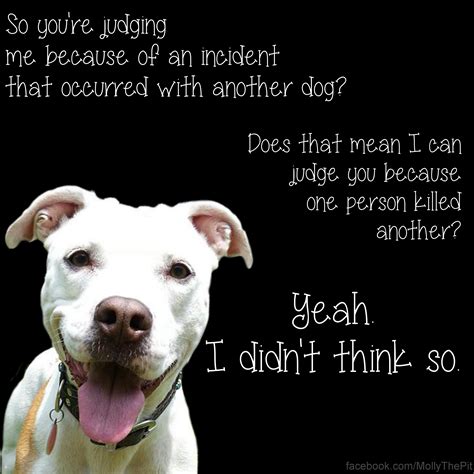 I Didnt Think So With Images Pitbull Quotes Pitbulls