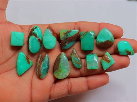 13 Pieces Lot Bio Chrysoprase Cabochon Natural Bio Chrysoprase