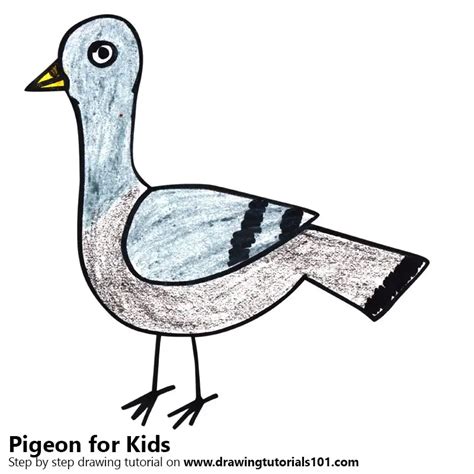 Learn How To Draw A Pigeon For Kids Animals For Kids Step By Step