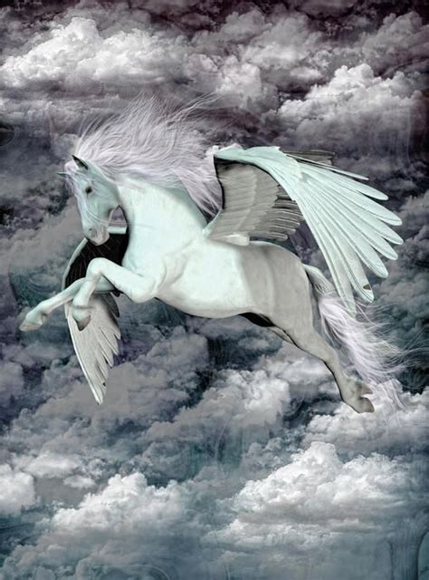 Pegasus Pegaso Es Un Caballo Alado Cuyos Padres Fueron Poseidón Y
